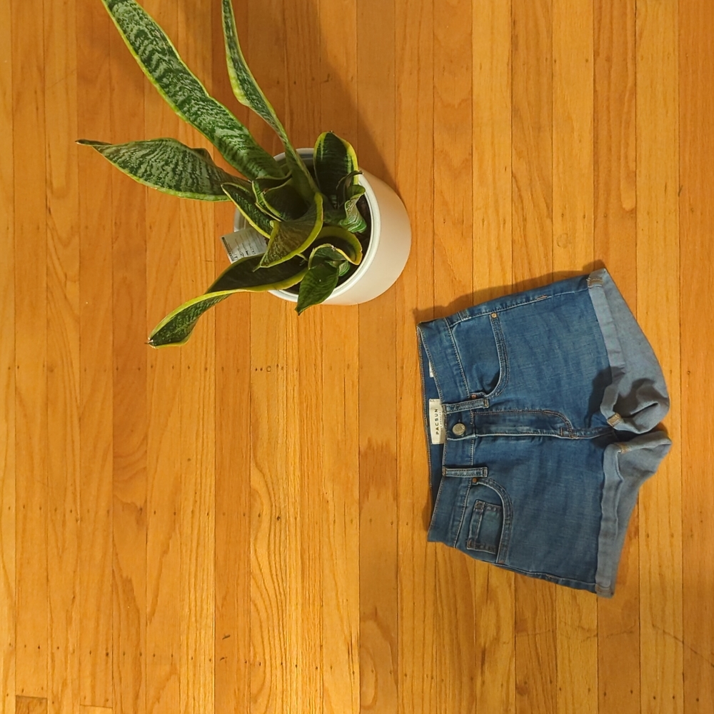 Pacsun "The shortie" cuffed shorts